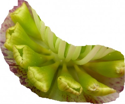 20120407 061 - Kopie.JPG