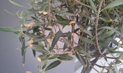 20120630_113519.jpg