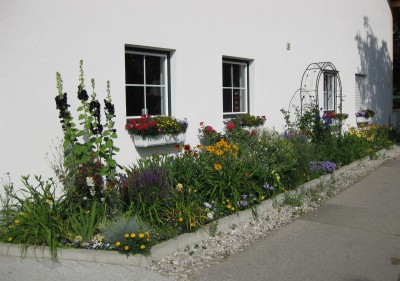 Straßenbeet_4088.jpg