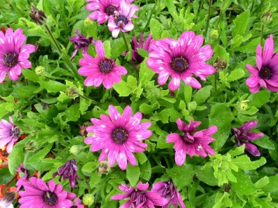 PICT0074.JPG