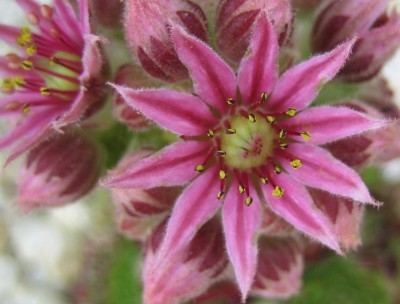 Green24 5 075.jpg