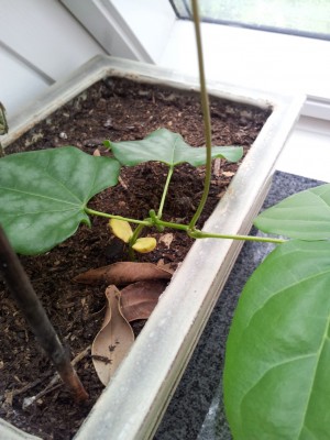 2012-06-27 16.37.40.jpg