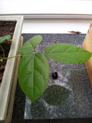 2012-06-27 16.37.30.jpg