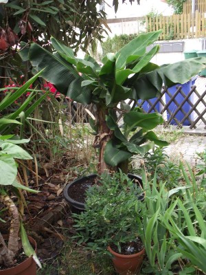 DSCF0810.JPG