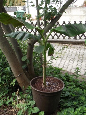 DSCF0809.JPG