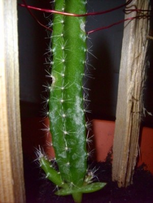 LPIC2719.JPG