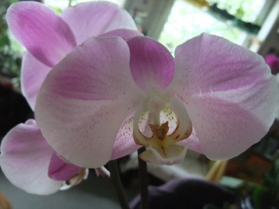 DSCF6155.JPG
