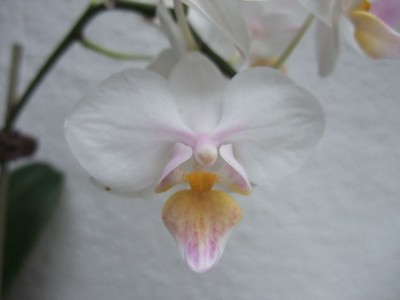 DSCF6179.JPG