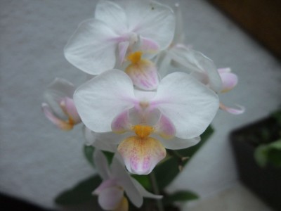 DSCF6177.JPG