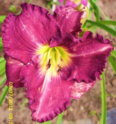 Photo11.jpg