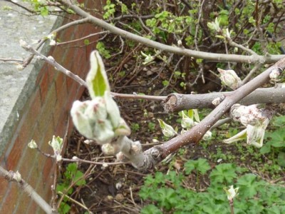 20120407 033 - Kopie (640x480).jpg