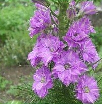 100_2182.jpg