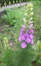 100_2181.jpg