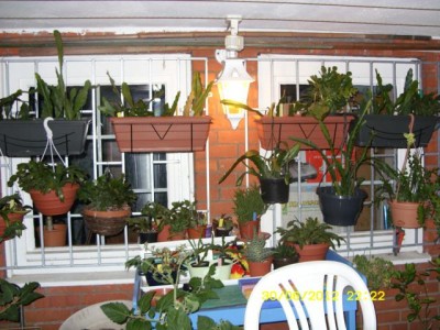 Photo4.jpg