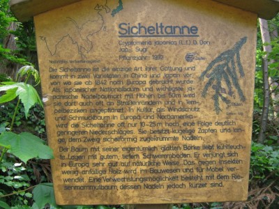Sicheltanne Schild.jpg