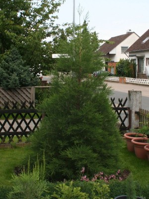 BM Nr.1  am 30.06.2012.jpg