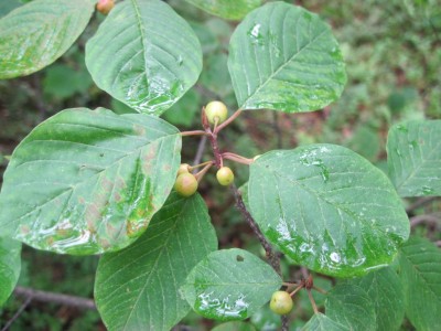 IMG_0375.jpg