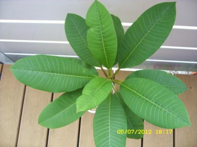 Photo8.jpg