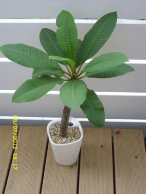 Photo6.jpg