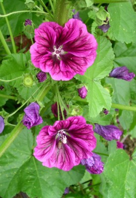 PICT0072.JPG