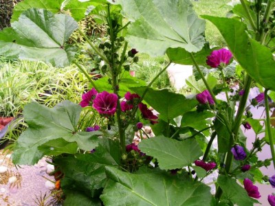 PICT0073.JPG