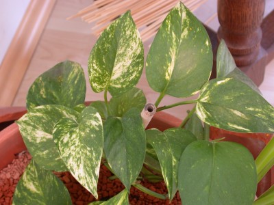 DSCN8186.JPG