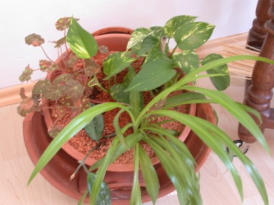 DSCN8183.JPG