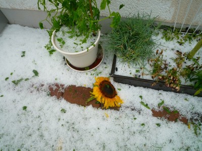 nach dem Unwetter3.JPG