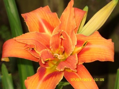 Photo3.jpg