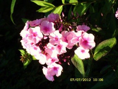 Photo8.jpg
