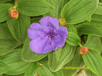 Photo5.jpg
