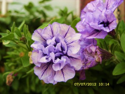 Photo14.jpg