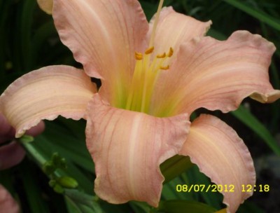 Photo2.jpg