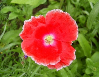 PIC_0005 (640x501).jpg