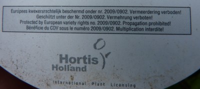 Passiflora Perfume Passion Schild.jpg