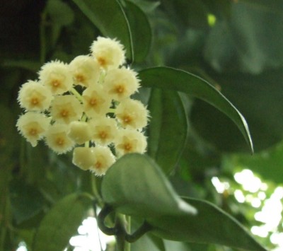 DSCF0280.JPG