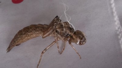 DSCF1491.jpg