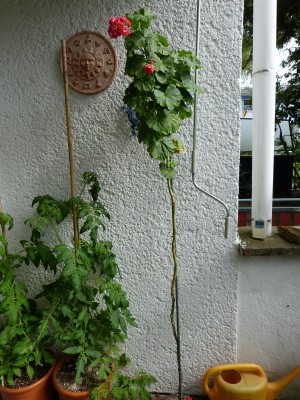 P1010724.JPG