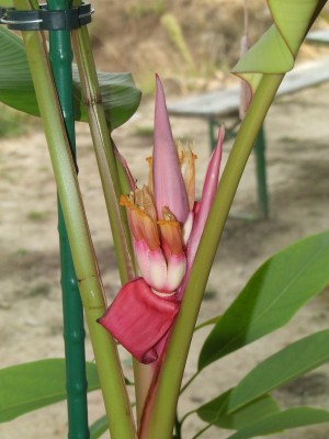 DSCF5164.JPG
