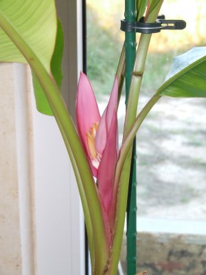 DSCF5130.JPG