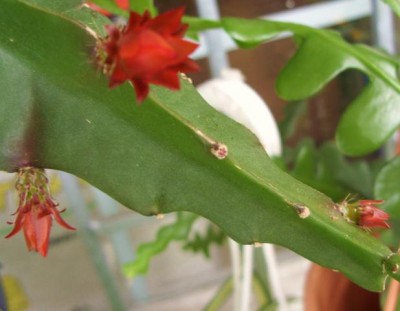 Photo6.jpg