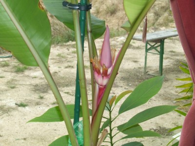 DSCF5171.JPG