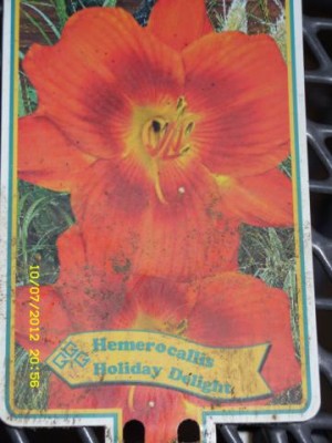 Photo24.jpg