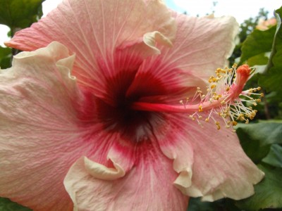 DSCF0267.JPG