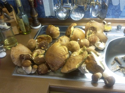 2012-07-04 14.48.48.jpg