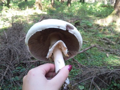 2011-09-03 13.28.52.jpg