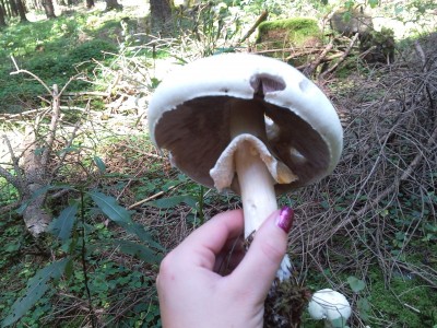 2011-09-03 13.29.07.jpg
