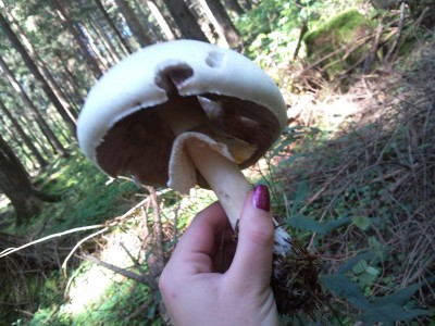 2011-09-03 13.29.01.jpg