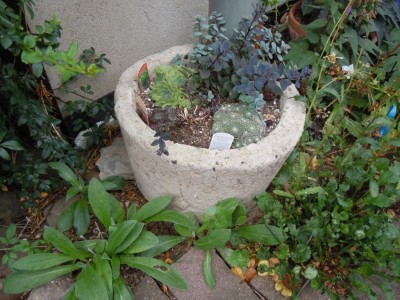 DSCN1070.JPG