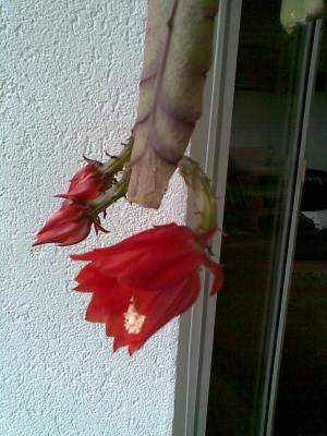 Bild003.jpg